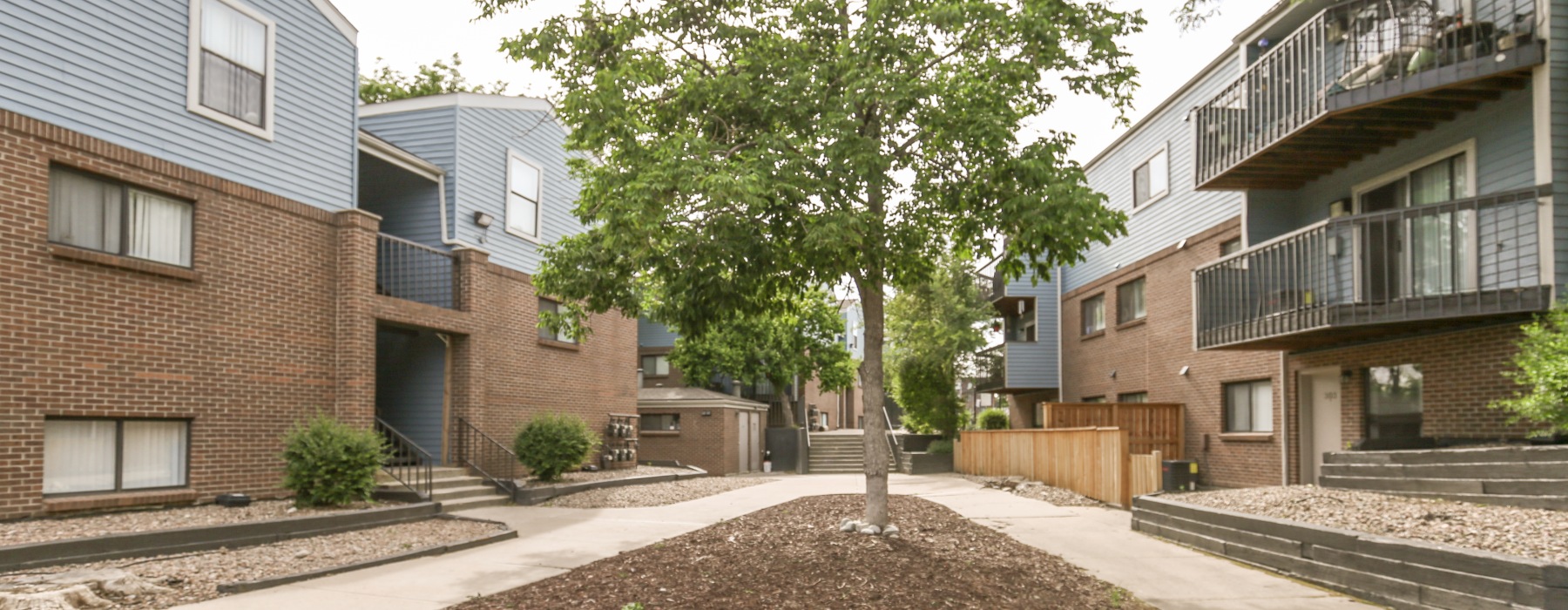 Apartment building exterior with large tree